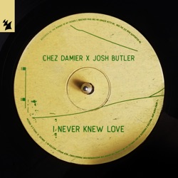 I Never Knew Love