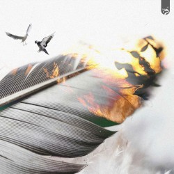 Feather