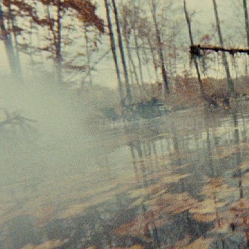 Nefarious Semblance vs. Forest of Frogs