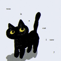 was it a cat i saw