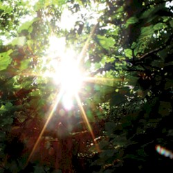 Summer Light