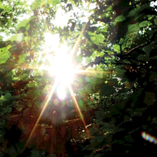 Summer Light