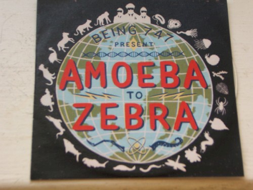 Amoeba to Zebra