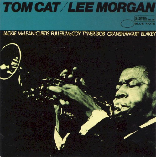 Tom Cat