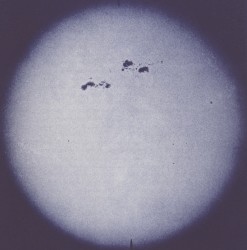 mnq026