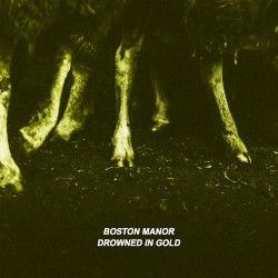 Drowned in Gold