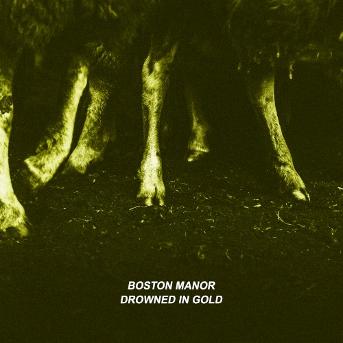 Drowned in Gold
