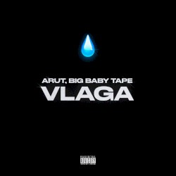 VLAGA