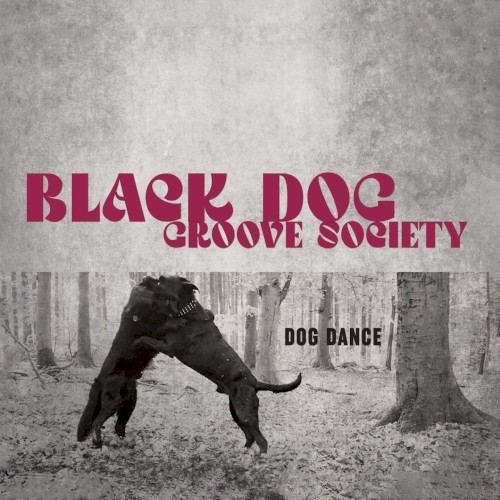 Dog Dance