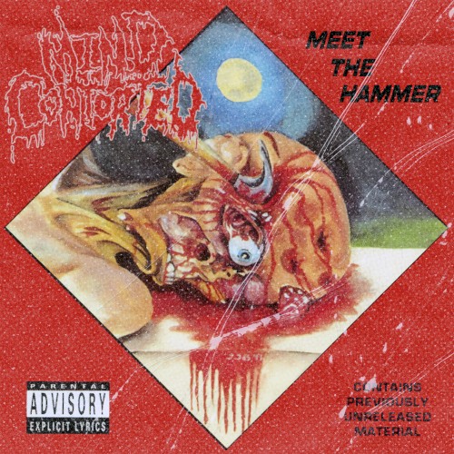 Meet the Hammer