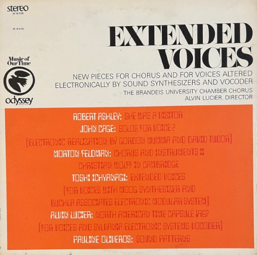 Extended Voices