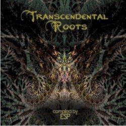 Transcendental Roots