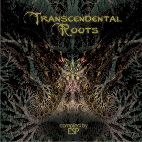 Transcendental Roots