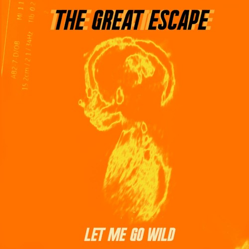 Let Me Go Wild