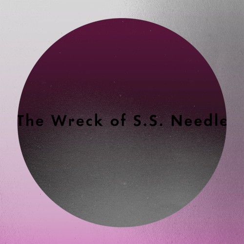 The Wreck of S.S. Needle