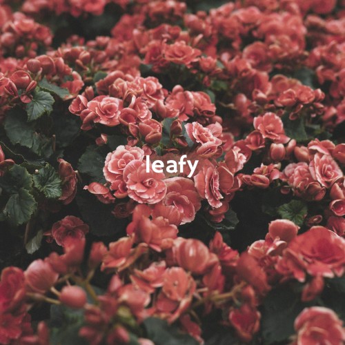 Leafy