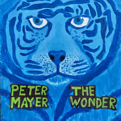 The Wonder