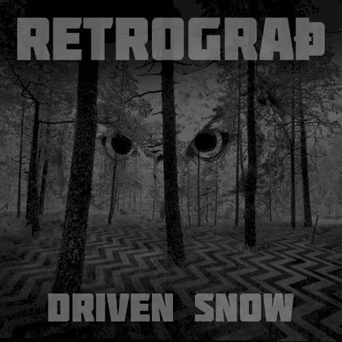Driven Snow