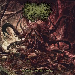 Xalaxial