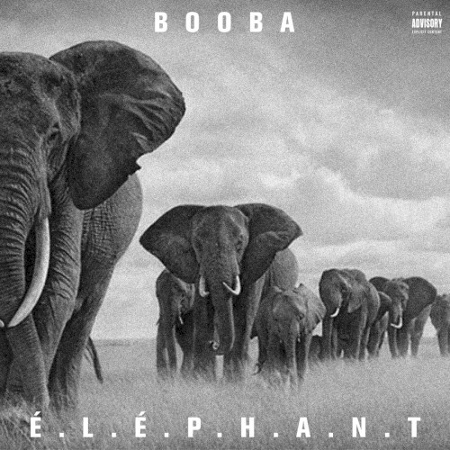 É.L.É.P.H.A.N.T