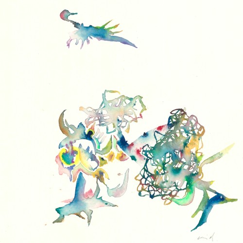 Age of Birds
