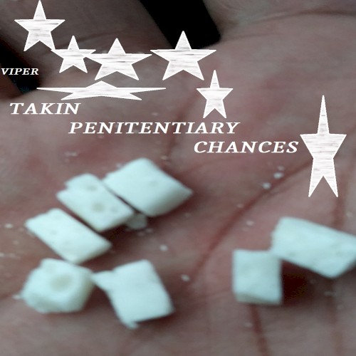 Takin Penitentiary Chances