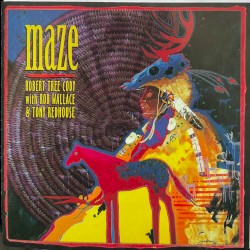 Maze