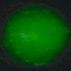 Electrosion III LP
