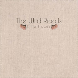 Little Traces