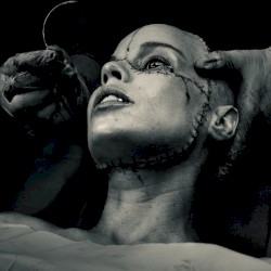 REANIMATED