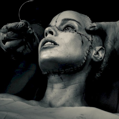 REANIMATED