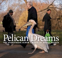 Pelican Dreams