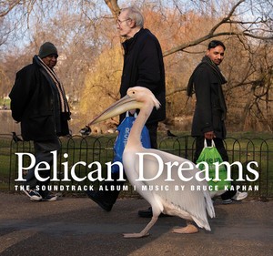 Pelican Dreams