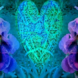 Transcend Beyond