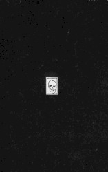 In Vitro