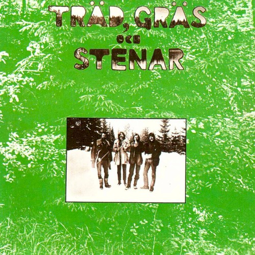 Träd, gräs och stenar