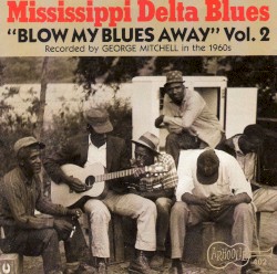 Mississippi Delta Blues Vol. 2