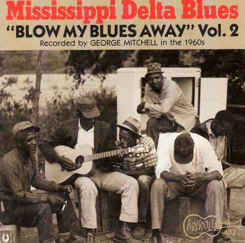 Mississippi Delta Blues Vol. 2