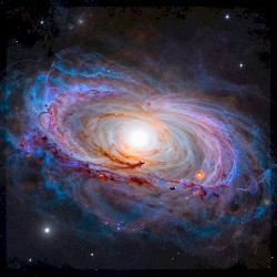 Cosmic Equilibrium