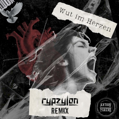 Wut im Herzen (Rypzylon remix)