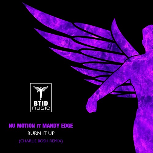 Burn It Up (Charlie Bosh remix)