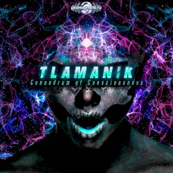 Conundrum of Consciousness