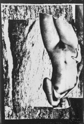 Aqua-Eroticum / Swallowing Bile