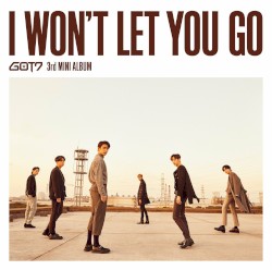 I WON'T LET YOU GO