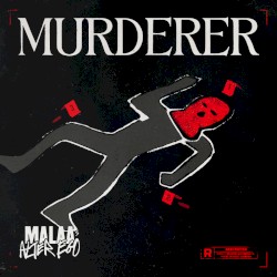 Murderer