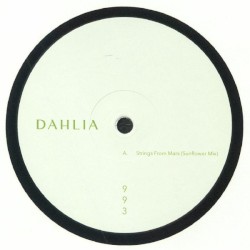 DAHLIA 993