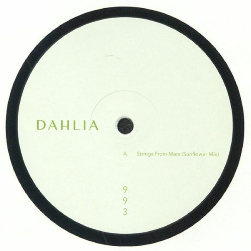 DAHLIA 993