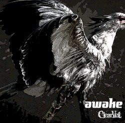 awake