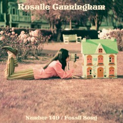 Number 149 / Fossil Song