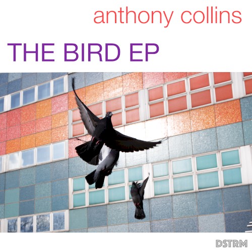 the bird ep